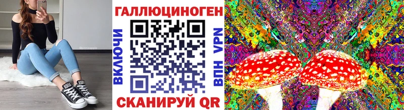 Псилоцибиновые грибы Psilocybe  OMG tor  Алушта 